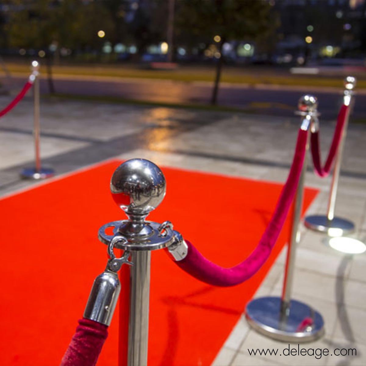 moquette-stand-chemin-cordon