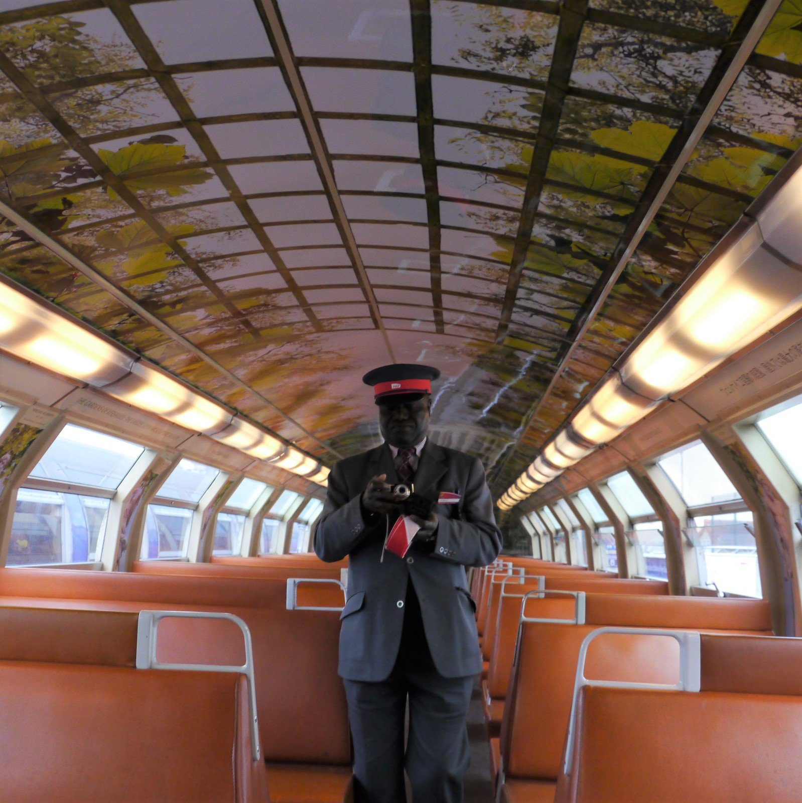 décor-fresque-adhésif-plafond-train-RERC