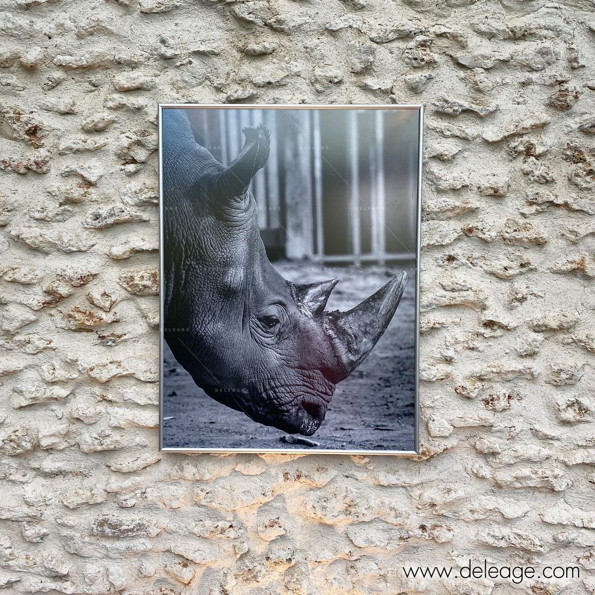 Cadre-aluminium-vantage-G