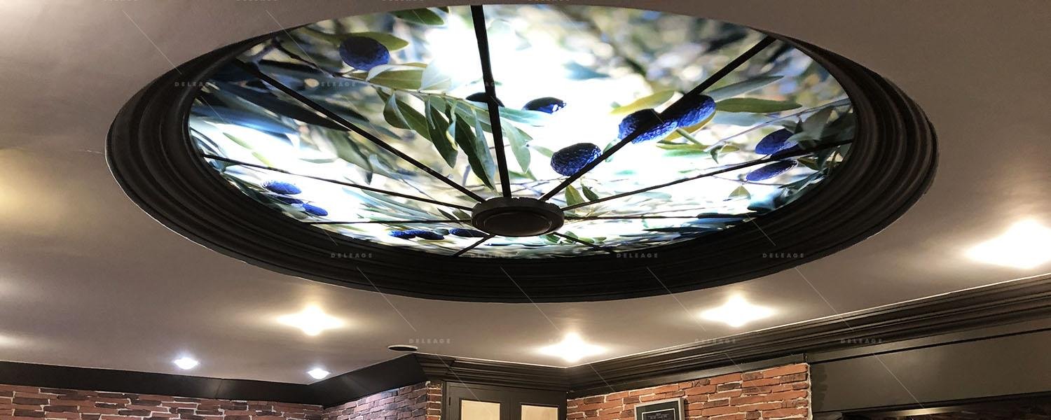 décor-plafond-plexi