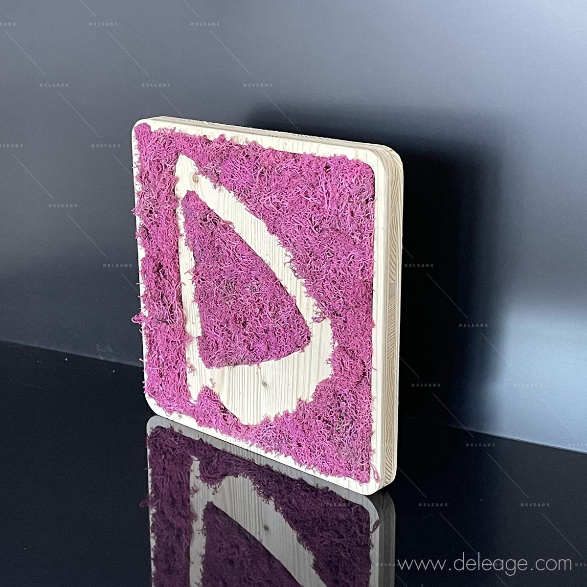 logo-bois-vegetal-test-1