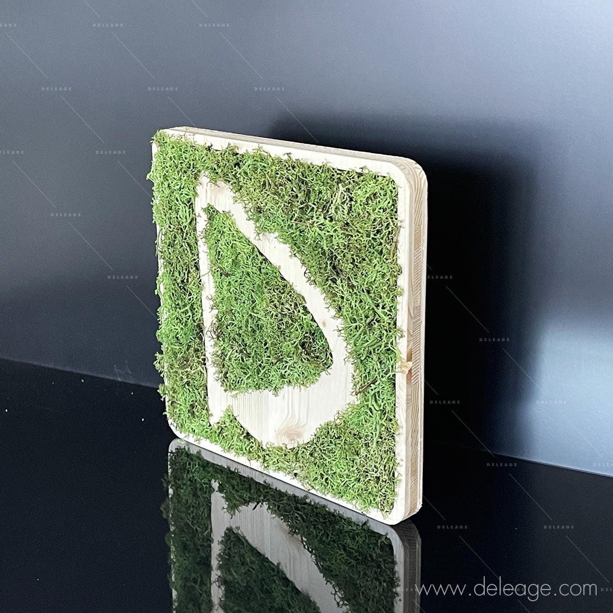 logo-bois-vegetal-test-2