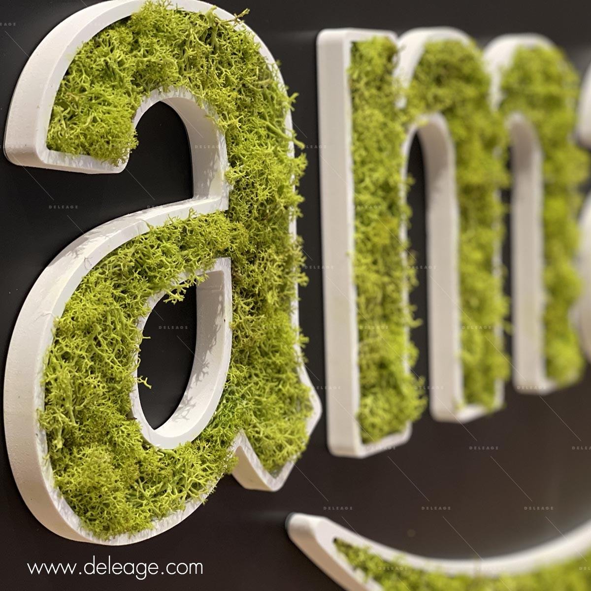 logo-vegetalise-creux