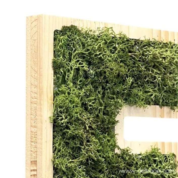 lettre-bois-epicea-et-vegetal-1-dZ