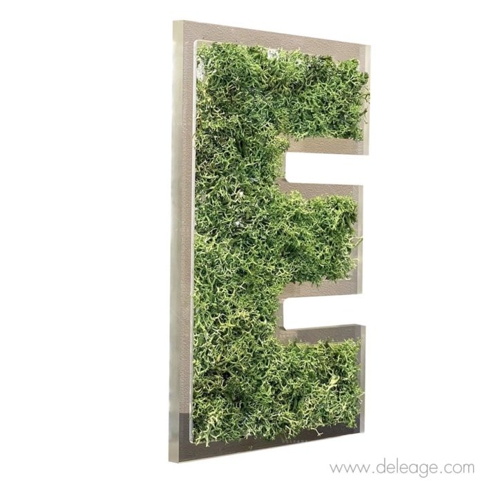 lettre-plexi-10mm-et-epicea-vegetal-2-d