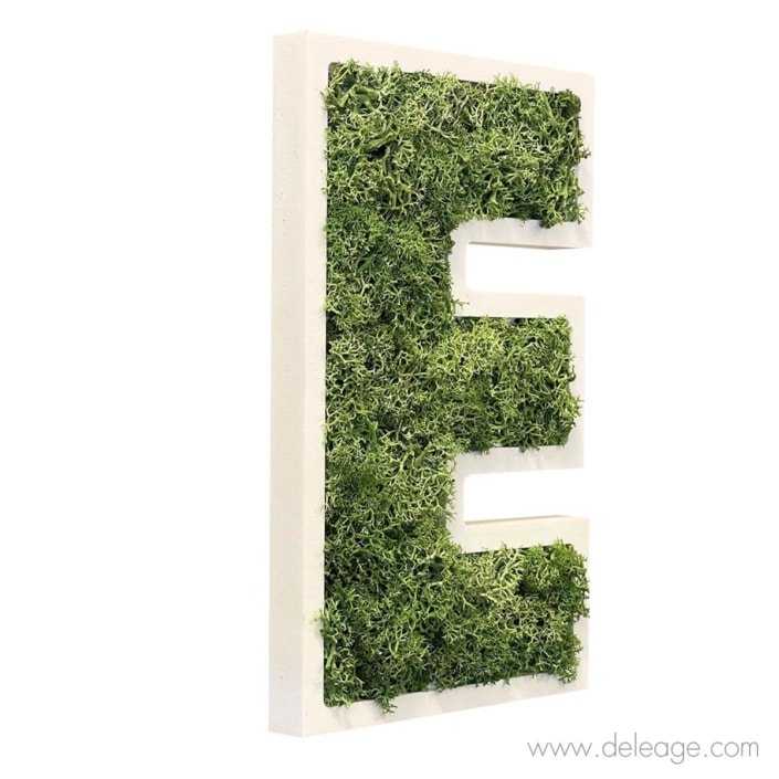 lettre-pvc-blanc-19mm-et-vegetal-2-d