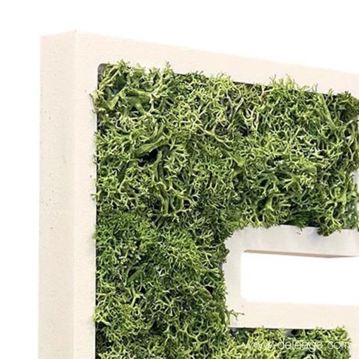 lettre-pvc-blanc-19mm-et-vegetal-2-dZ